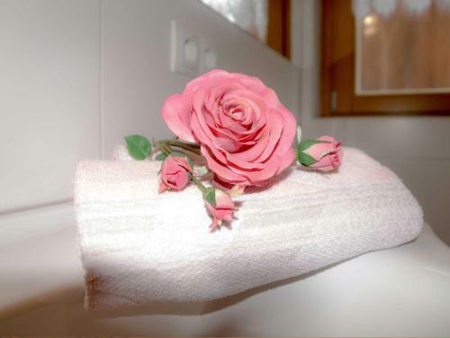 Apartamento Wieshof