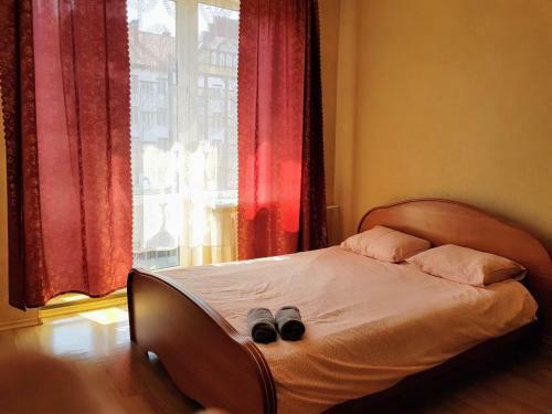 Hostal Guest House Kneiphof