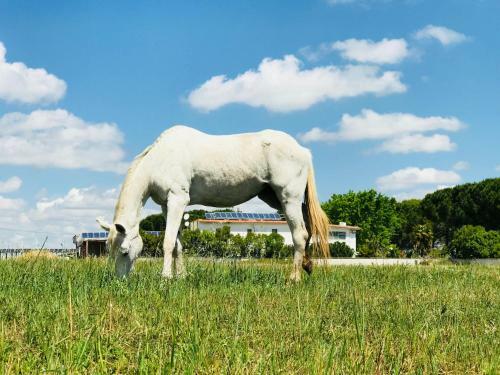 Hostal Masseria Nel Sole