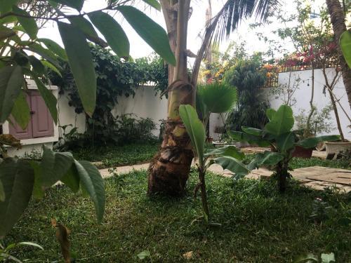 Bed & Breakfast La Villa Blanche