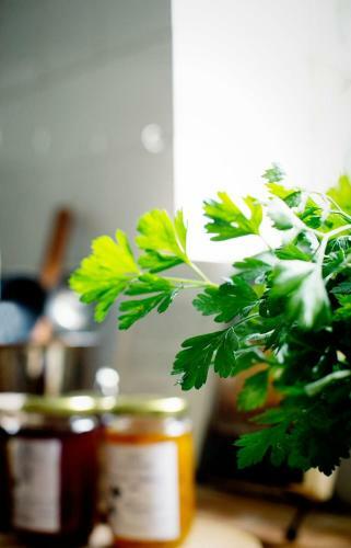 Bed & Breakfast Blues & Chutney Country