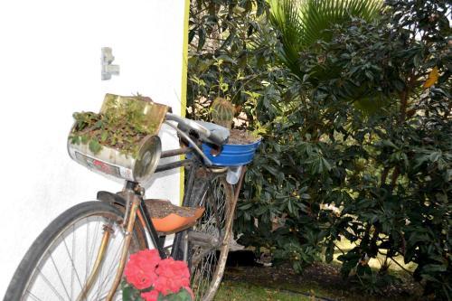 Hostal Caba�as El Chalet