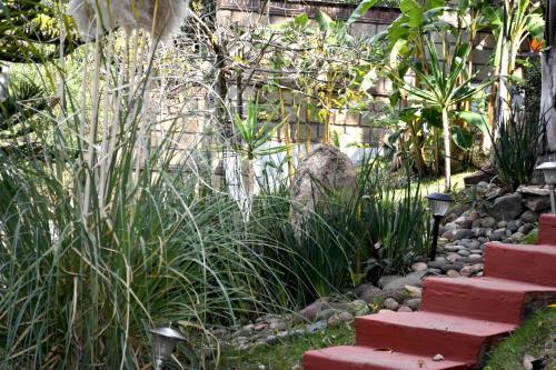 Hostal Caba�as El Chalet