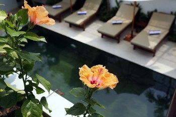 Hotel Sam So Boutique Villa