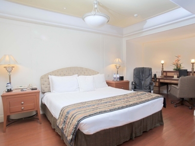 Hotel Sheraton Park And Towers T