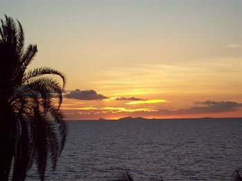 Tropic Of Capricorn - Hostel