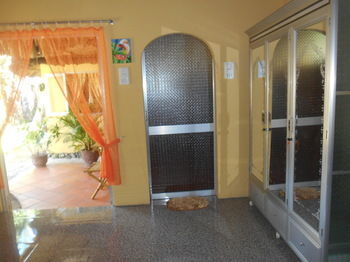 Hotel Thuy - Gunter Garden Bungalow