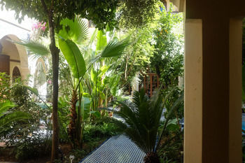 Riad Ryad Salama