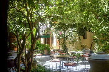 Riad Ryad Salama