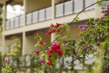 Apartamento Acajou Beach Resort