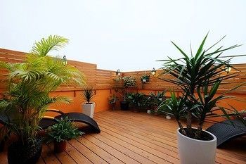 Bed & Breakfast Open The Sky