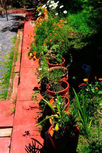 Hotel Villa Cantagallo