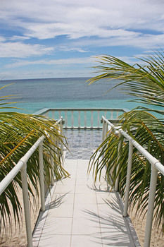Cabana Coconut Tree West Bay