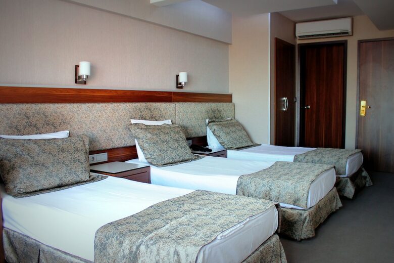 Hotel B�y�k Paris
