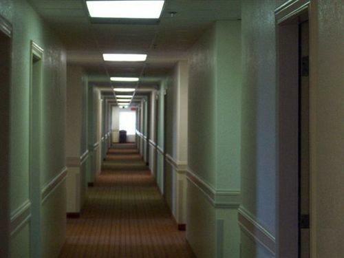 Hotel Island Inn