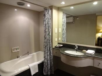 Hotel Minerva Grand