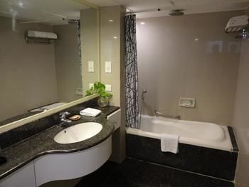 Hotel Minerva Grand