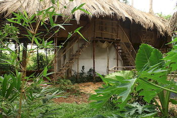 Saraya Art Cafe Bed And Breakfast