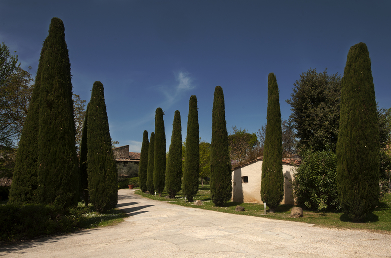 Hotel Relais Della Rovere