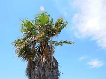 Archipelago Hotel - All Inclusive
