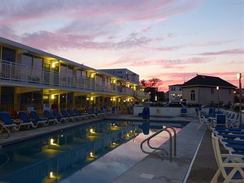 Forum Motor Inn