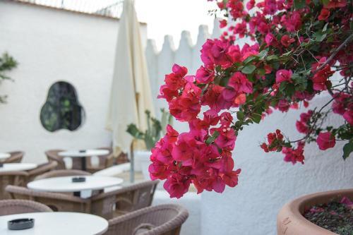 Hotel Baia Delle Zagare