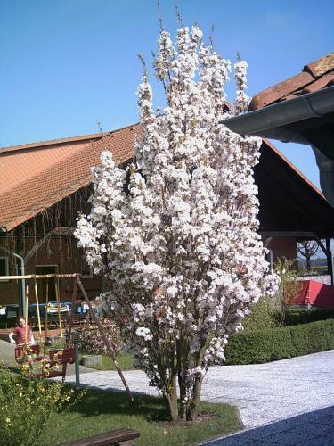 Hotel Marianne Und Restaurant Kiek In