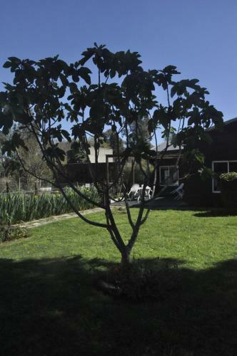 Lodge Caba�as Terra Lucana