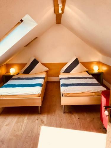 Apartamento Ferienwohnungen "am M�hlteich"
