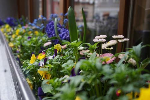 Albergue Jugendg�stehaus Bad Ischl