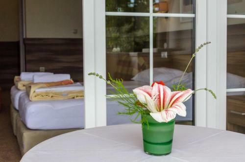 Hostal Villa Slavka