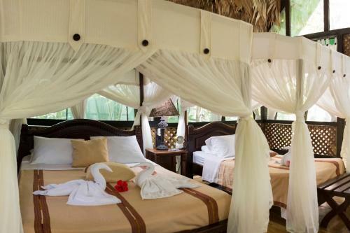 Almonds And Corals Lodge
