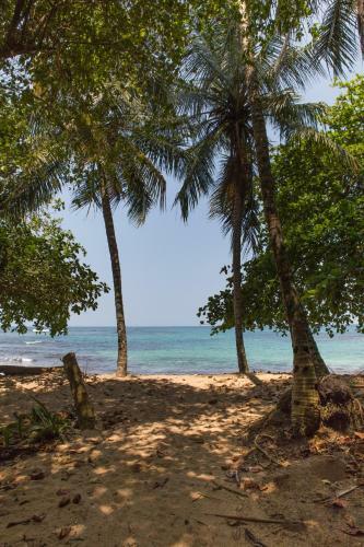 Almonds And Corals Lodge