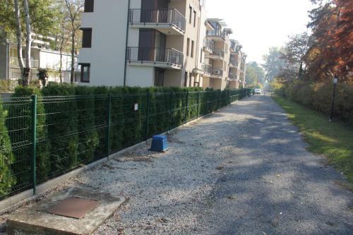 Lakeview Apartment