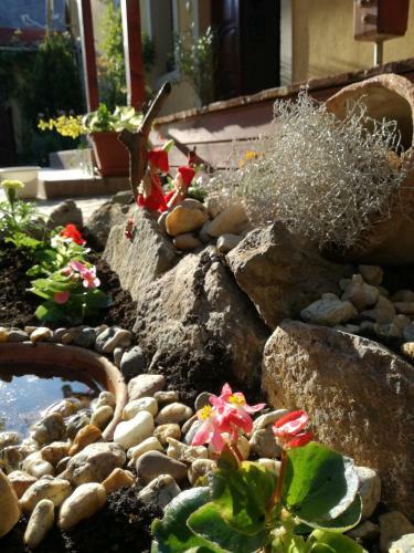 Bed & Breakfast Forr�s Fogad�
