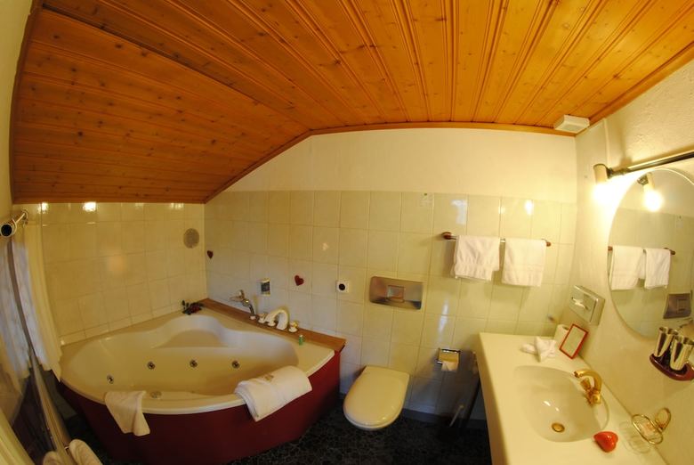 Chalet-hotel Adler