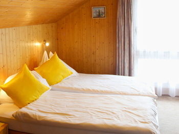 Hotel Alpina