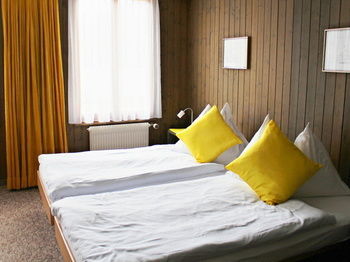 Hotel Alpina