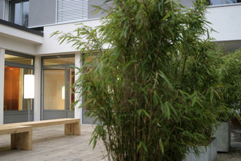 Ymca Hostel Basel