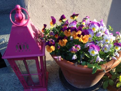 B&B La Vie En Rose
