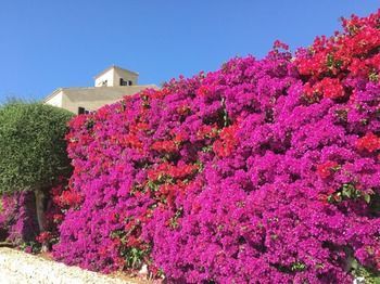 Agroturismo Cug� Gran