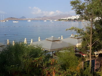 Manuela Hotel