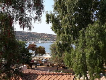 Manuela Hotel