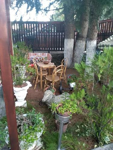 Apartamento Durmitor