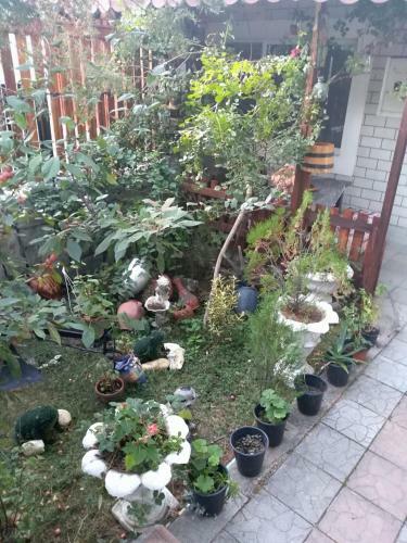 Apartamento Durmitor