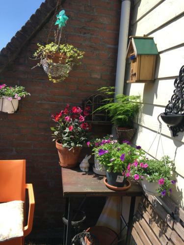 Hostal B&B Central