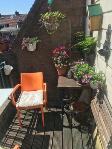 Hostal B&B Central