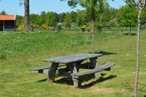 Bed & Breakfast Erve Grootenhuys