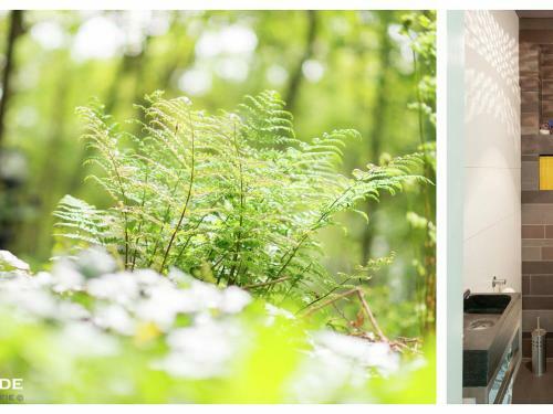 Spacious Holiday Home In The Woods In Doldersum