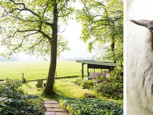 Spacious Holiday Home In The Woods In Doldersum